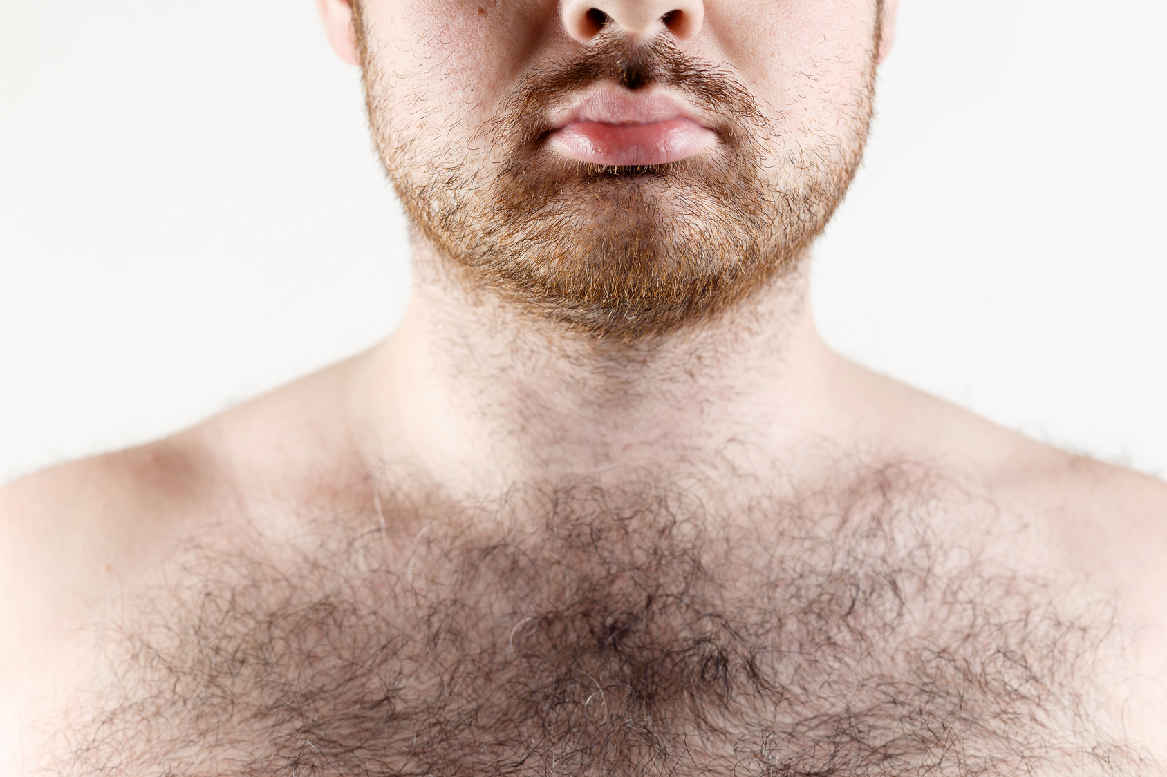 90,000+张最精彩的“胸毛”图片 · 100%免费下载 · Pexels素材图片